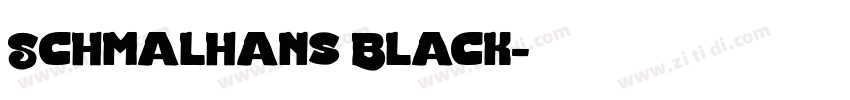 Schmalhans Black字体转换
